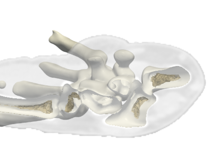 CT3D screenshot: Screenshot 2026 07 21 224527