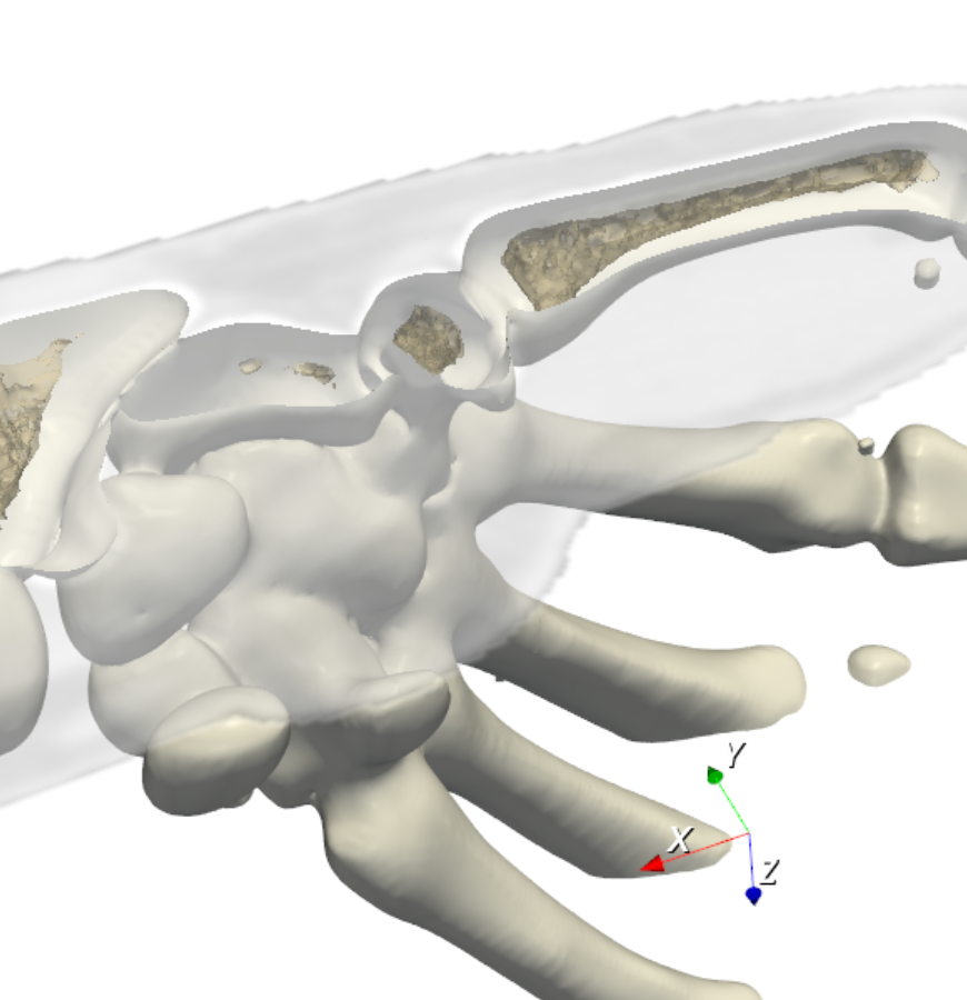 CT3D screenshot: Screenshot 2026 07 21 224719