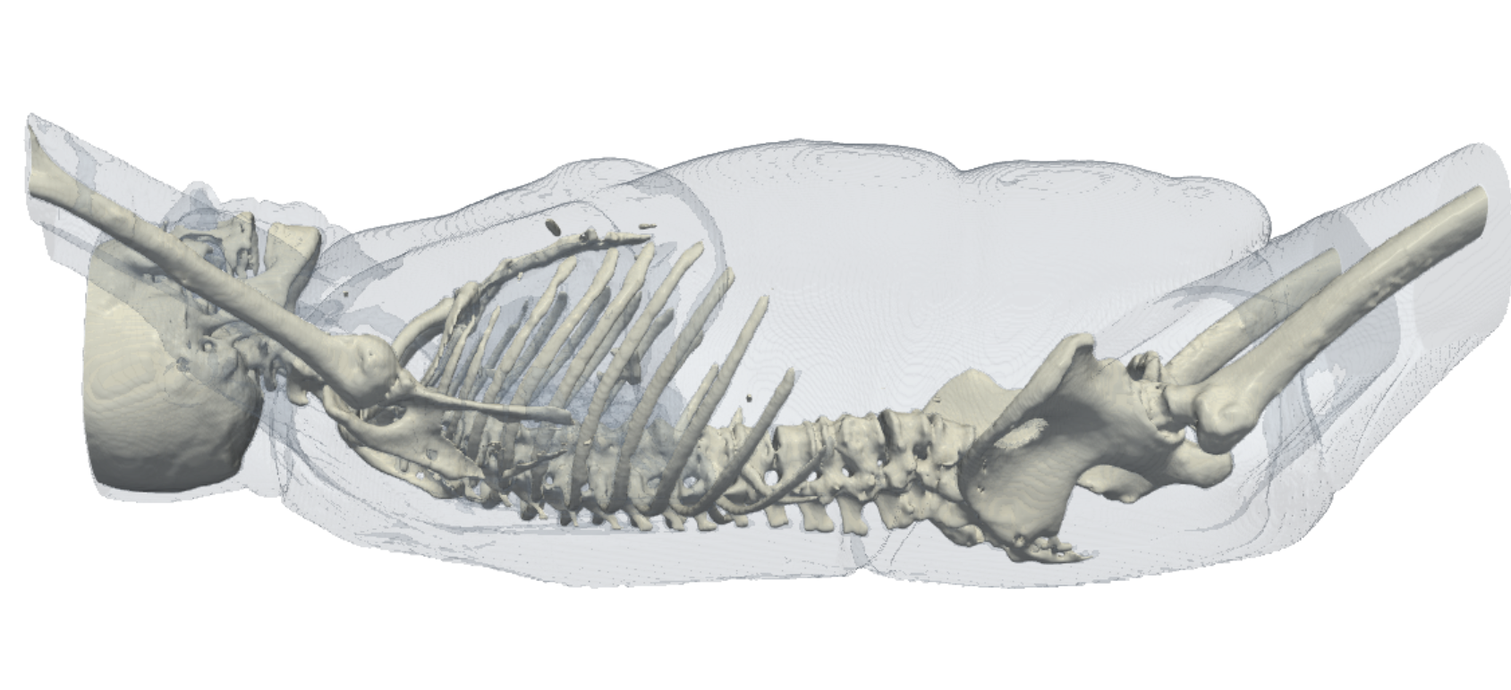 CT3D screenshot: Screenshot 2026 07 21 230233